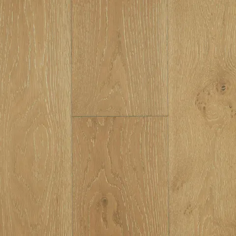 001T21604CA European Oak hardwood swatch