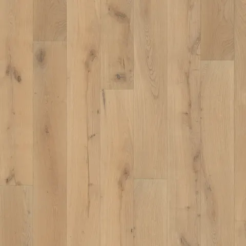 002T14317CO European Oak hardwood swatch