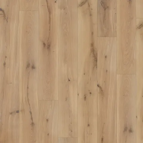 002T14318FA European Oak hardwood swatch