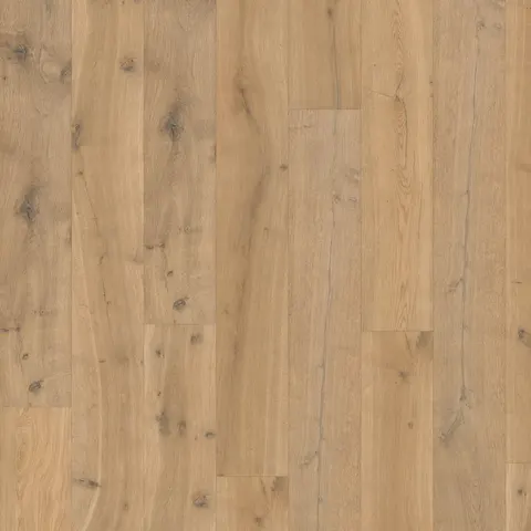 002T14320CI European Oak hardwood swatch