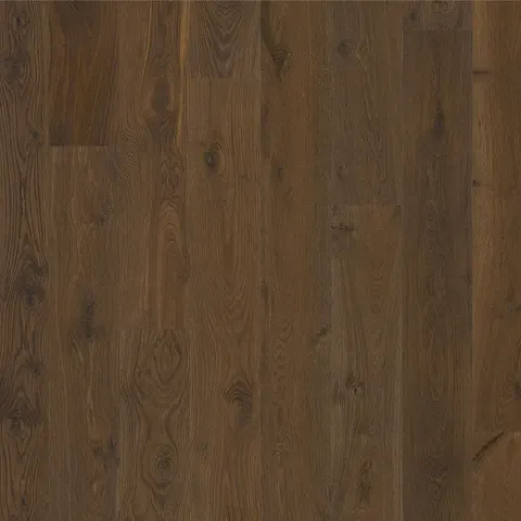 002T14329DC European Oak hardwood swatch