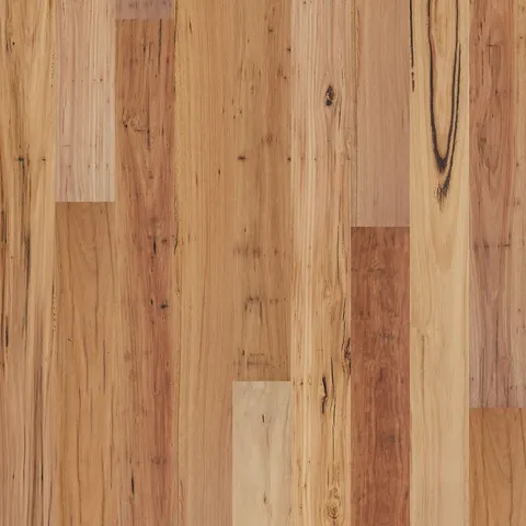 002T14334RBB Australian Blackbutt hardwood swatch