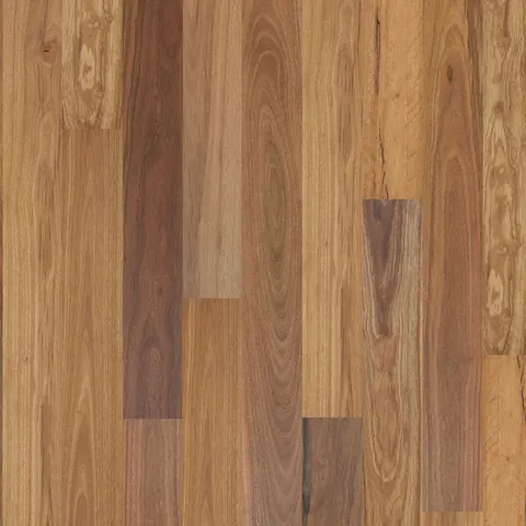 002T14336SSG Australian Spotted Gum hardwood swatch
