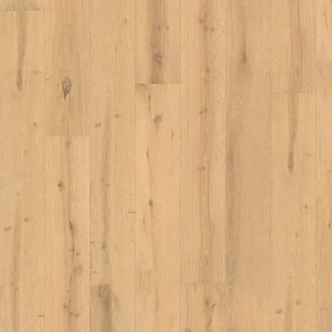 002T14346MI European Oak hardwood swatch