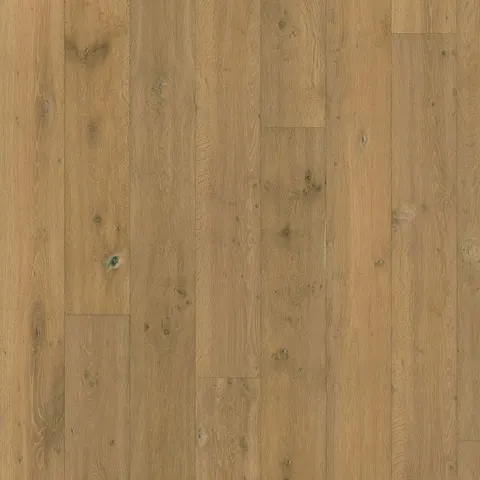 002T14354BE240 European Oak hardwood swatch