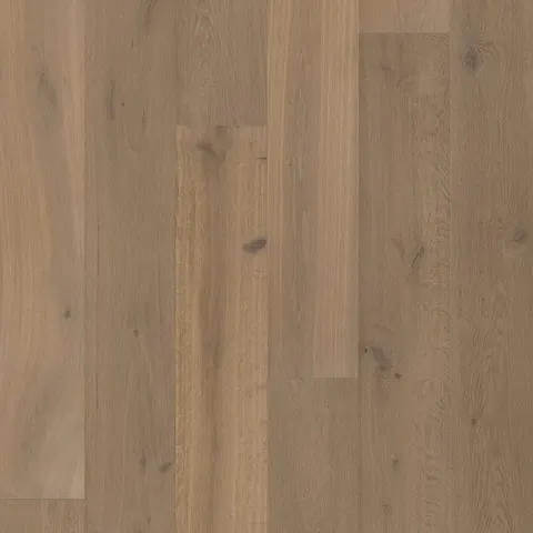 002T20660MJ190 European Oak hardwood swatch