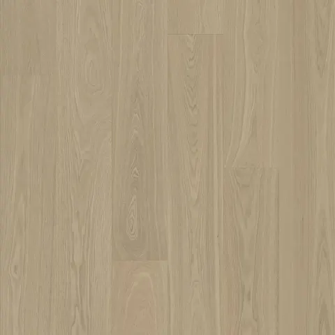 004T153120FL European Ash hardwood swatch