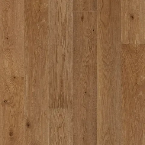 004T153134RS European Oak hardwood swatch