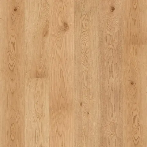 004T153136MAI European Oak hardwood swatch