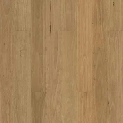 004T153155SBB Australian Blackbutt hardwood swatch