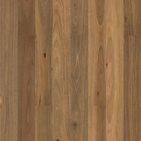004T153156SSG Australian Spotted Gum hardwood swatch