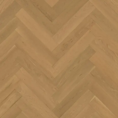 004T15344LIGHB European Oak hardwood swatch