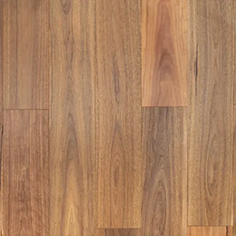 005T15326SG136 Australian Spotted Gum hardwood swatch