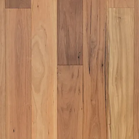 005T15329BB190 Australian Blackbutt hardwood swatch