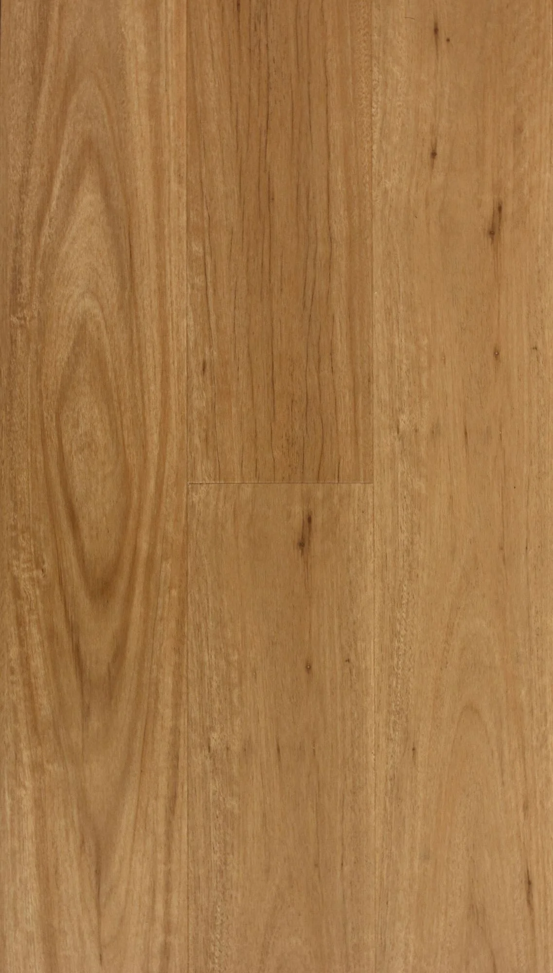 001H8176CB Cb swatch