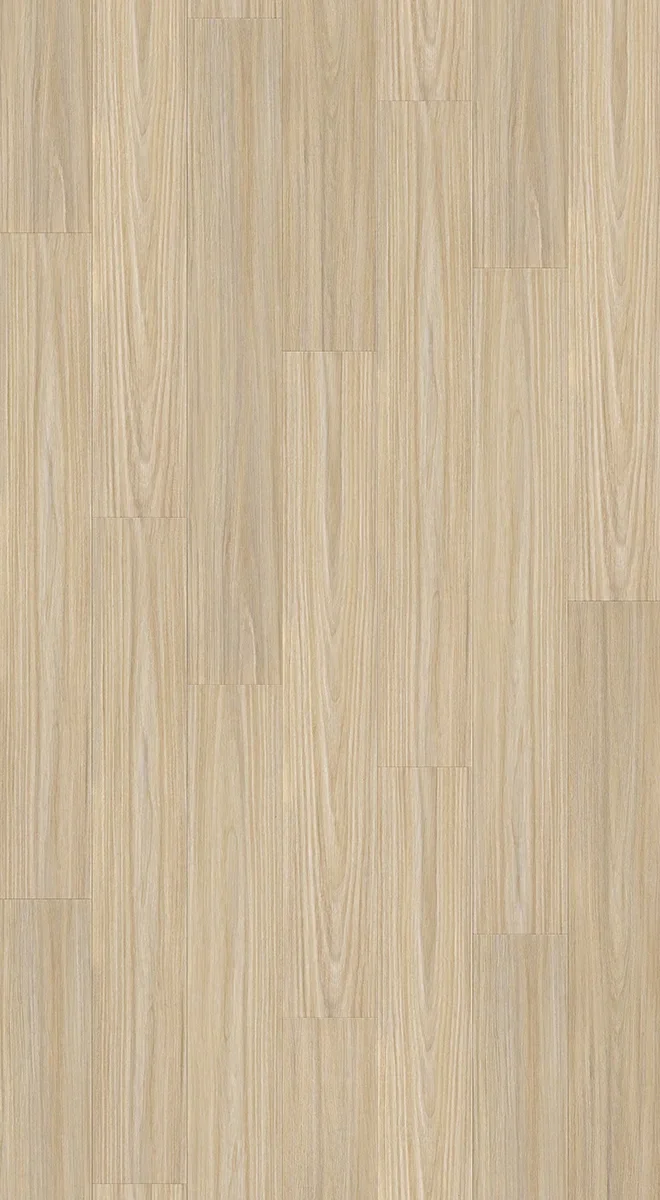 003H8108SBB Sbb swatch