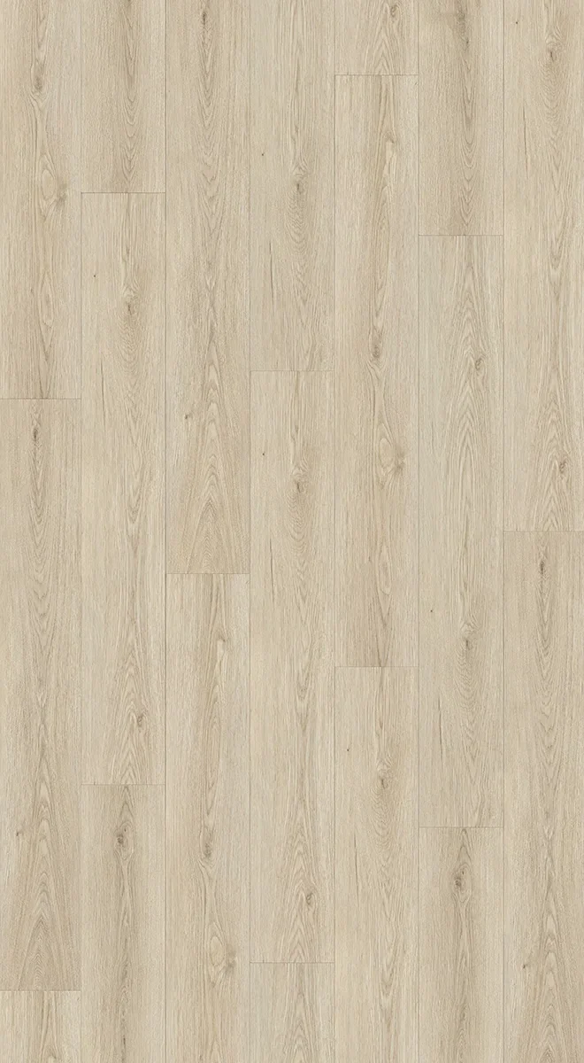 003H8109MS Ms swatch