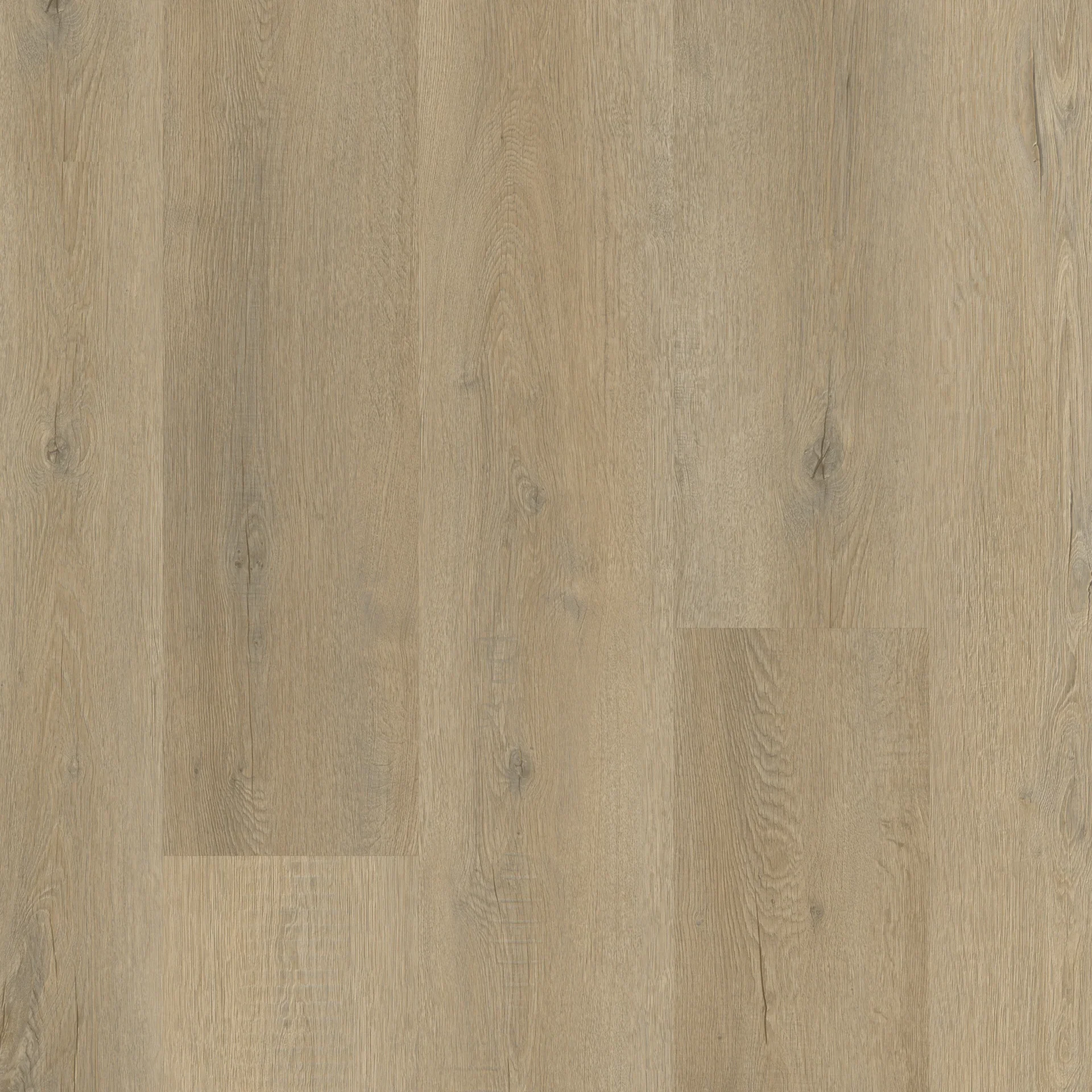 012V4.5002AVWO Avwo swatch