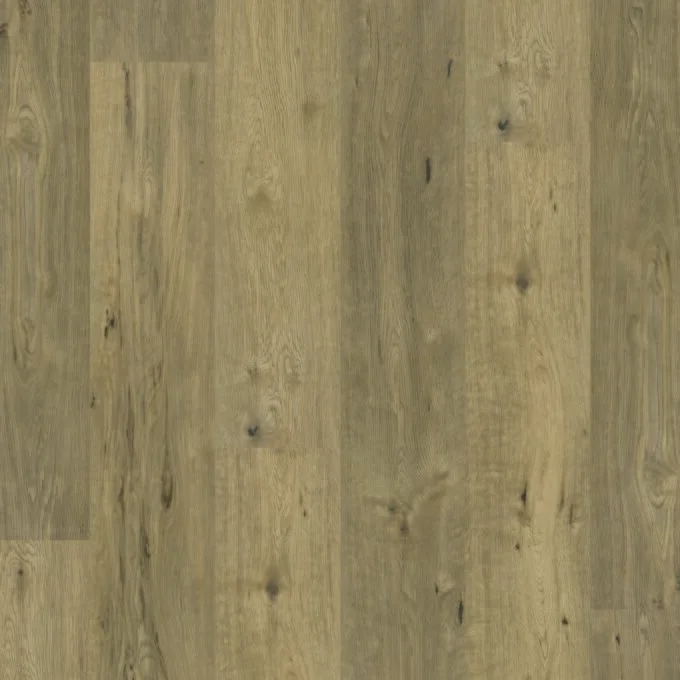 013V20162109BO 2109Bo swatch