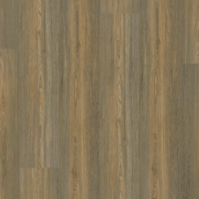 013V20202113GG 2113Gg swatch