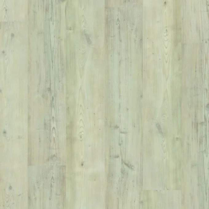 013V20232116NWO 2116Nwo swatch