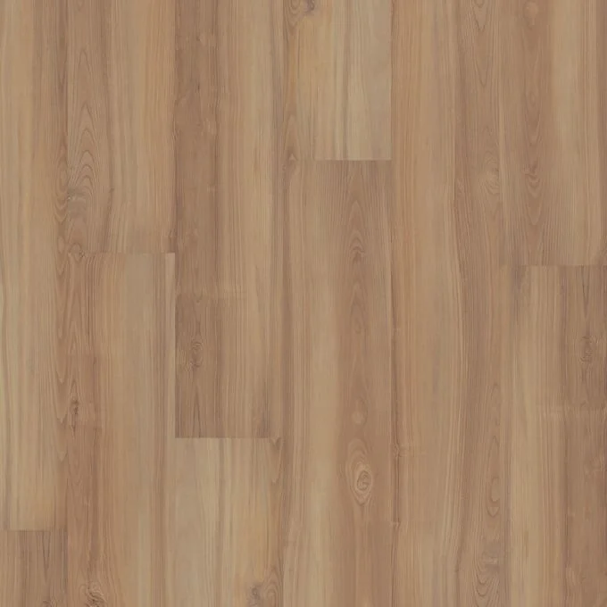 013V50022410WP 2410Wp swatch