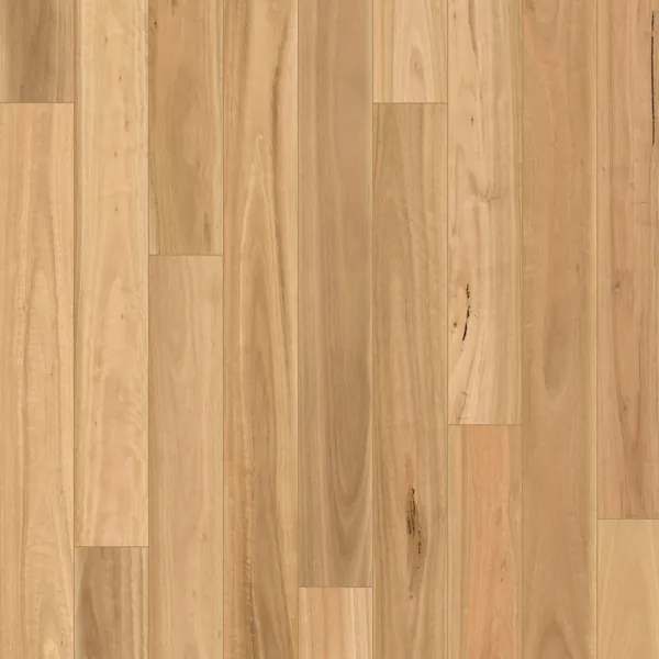 002L1268BB Bb laminate swatch